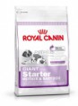 Royal Canin Giant Starter